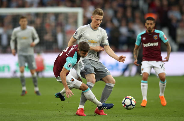 强大的体格 强大的体格